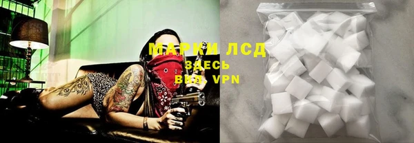 шишки Абаза