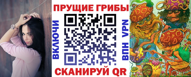 Галлюциногенные грибы MAGIC MUSHROOMS дарнет шоп Сураж